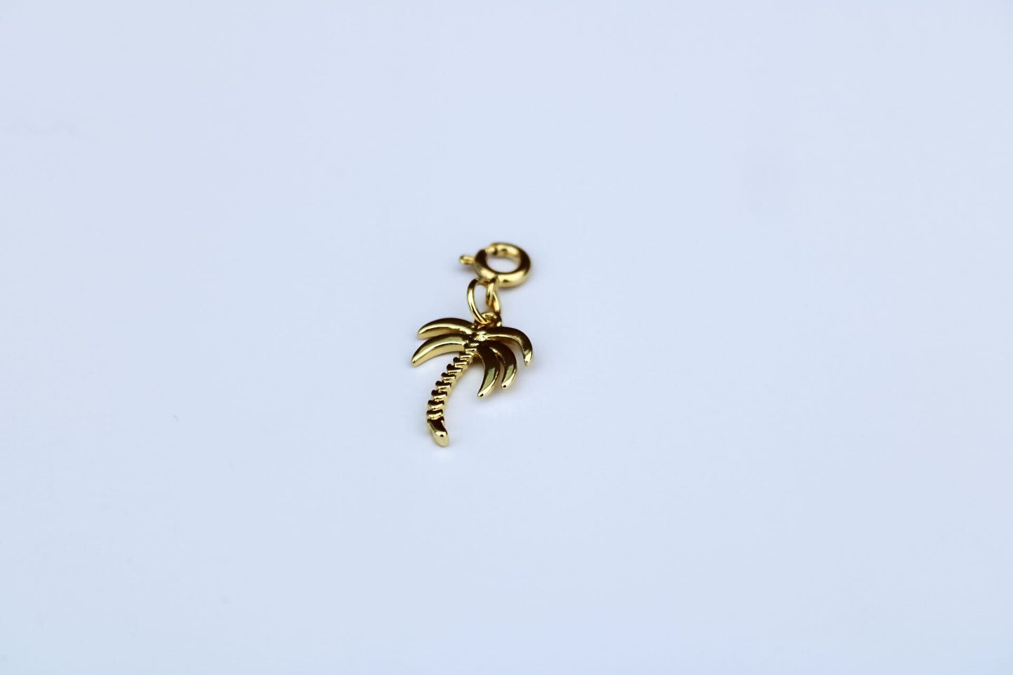 Beachy Charm Add On!